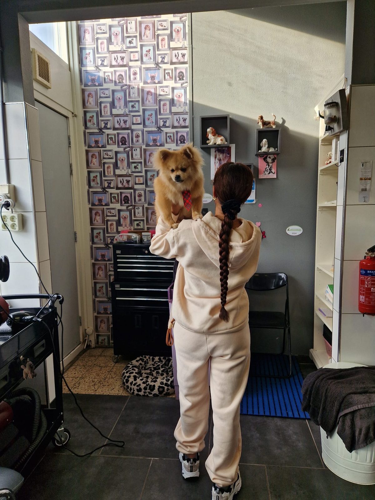 In de salon: iemand houdt een klein hondje op de arm